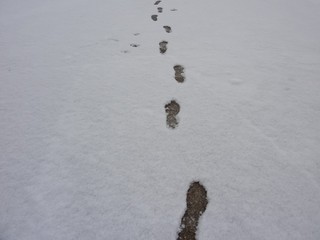111209.jpg